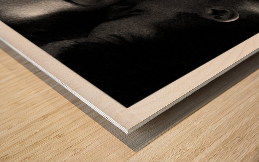 Hold Me Part Two Wood print