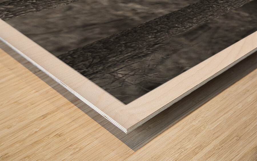 When Trees Give Up Their Secrets Pt. 2 Wood print