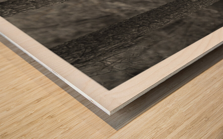 When Trees Give Up Their Secrets Pt. 1 Wood print