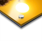 IMG 7934 Acrylic print