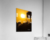 IMG 7934 Acrylic Print