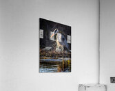 GreatBlueHeron Acrylic Print