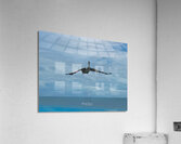 Pelican3 Acrylic Print