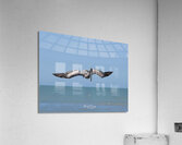 IMG 1679 Acrylic Print