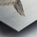 PelicanSketch3 Metal print