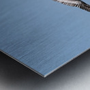 IMG 1679 Metal print