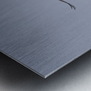 IMG 0091Osprey Metal print