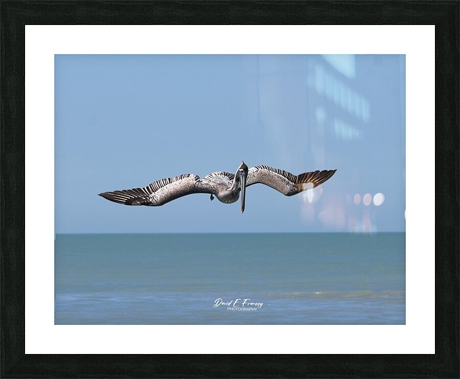 IMG 1679 Picture Frame print