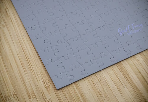 IMG 0091Osprey David E Francey Photography puzzle