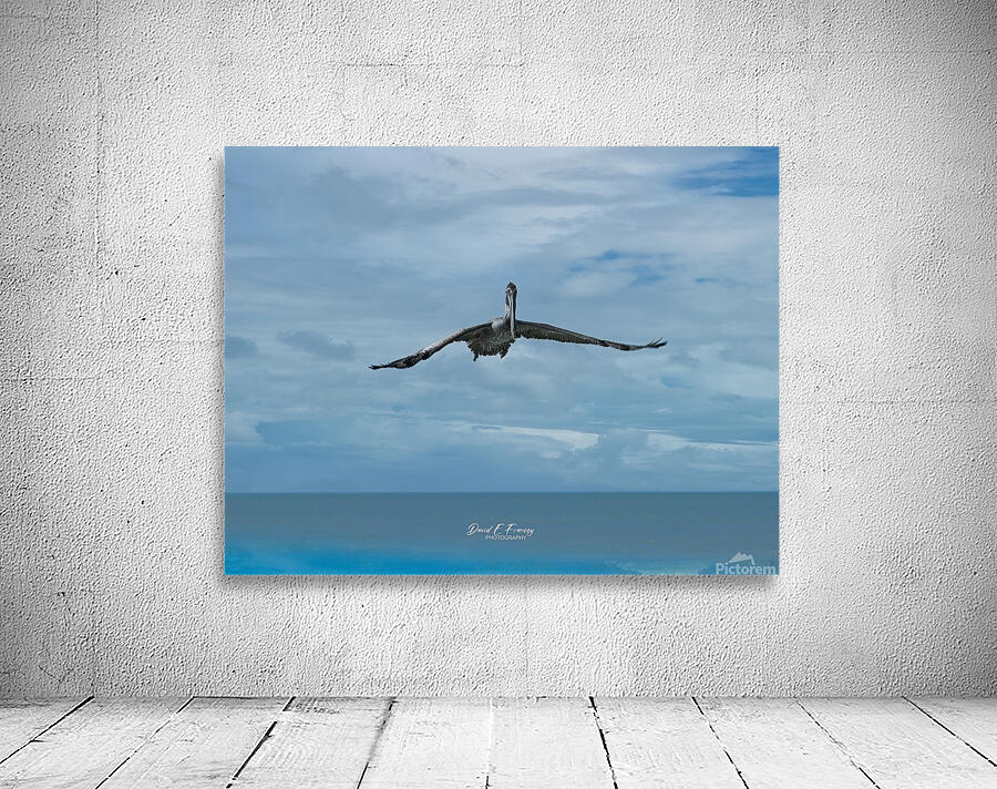 Pelican3 Wall Preview