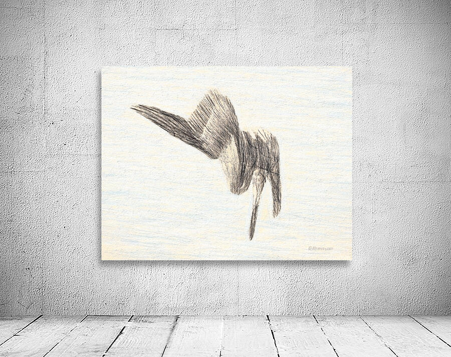 PelicanSketch3 Wall Preview