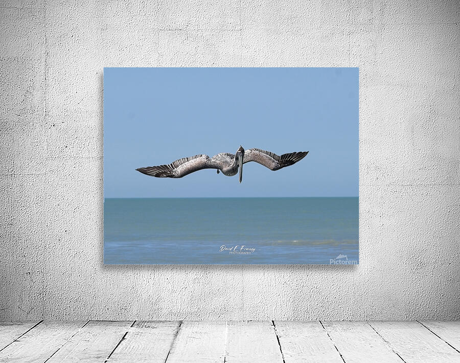 IMG 1679 Wall Preview