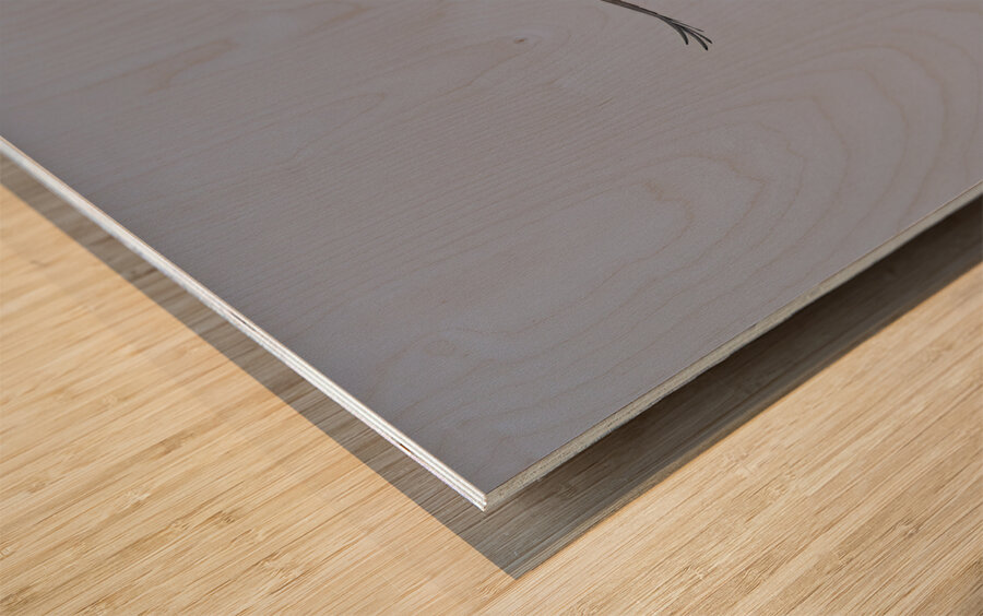 IMG 0091Osprey Wood print