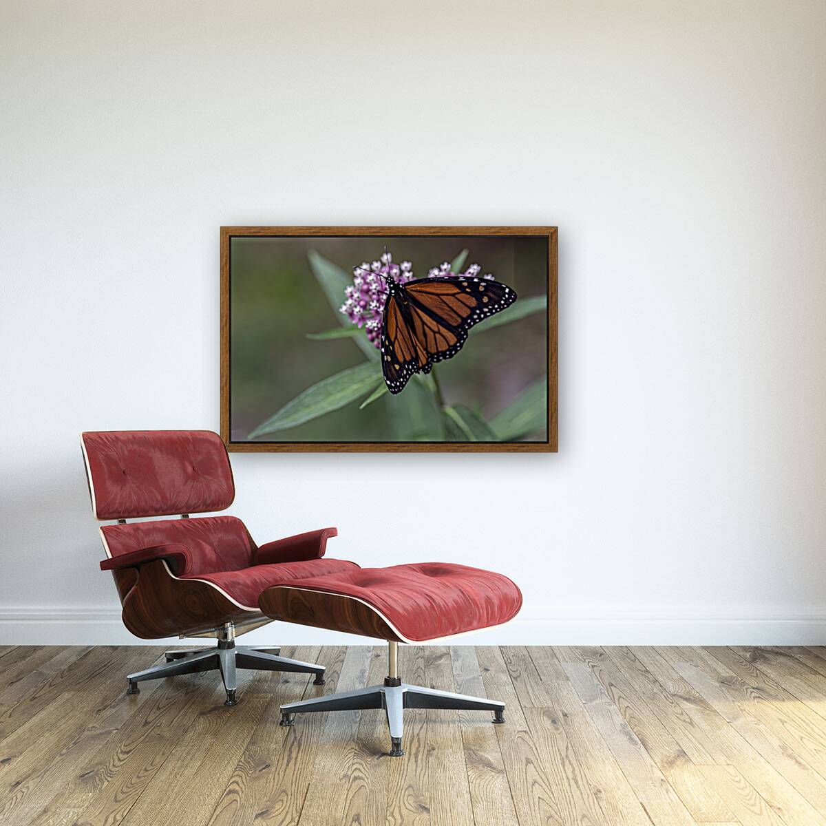 Monarch Butterfly Reproduction