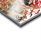 one piece Acrylic print