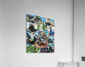 one piece Acrylic Print