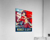 one piece Acrylic Print