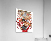 one piece Acrylic Print