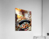 one piece Acrylic Print