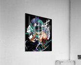 one piece Acrylic Print