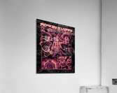 one piece Acrylic Print