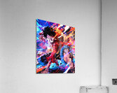 one piece Acrylic Print