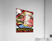 one piece Acrylic Print