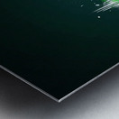 St. Patricks Day  Metal print