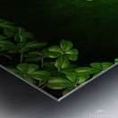 St. Patrick s Day  Metal print