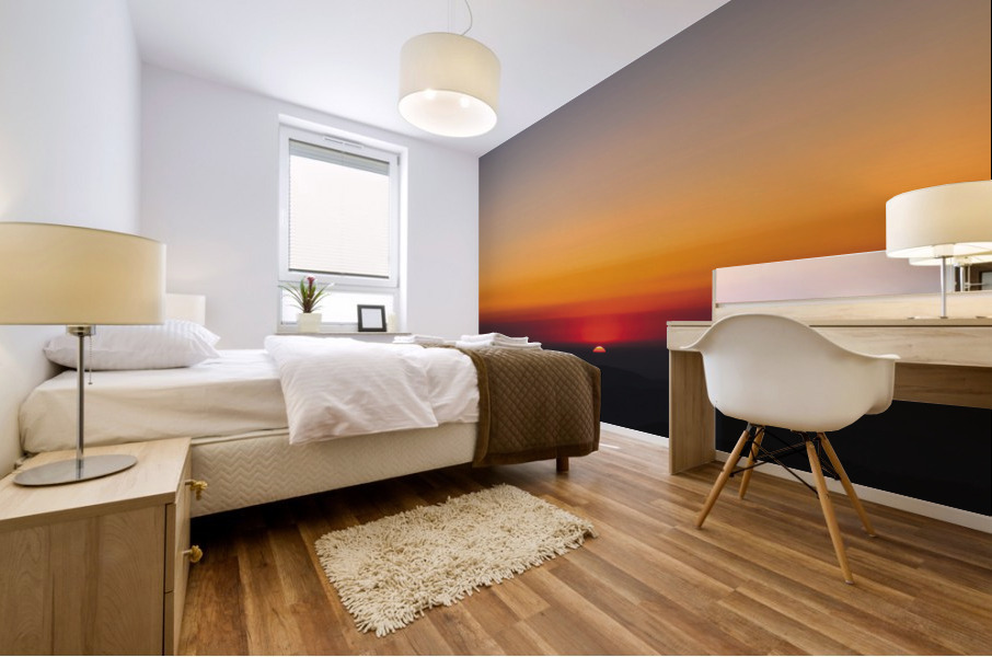 inception Mural print