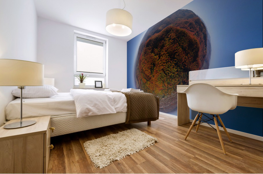 DJI 0785 redfall Mural print