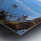 Morning at the Grand Canyon Metal print