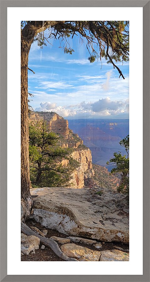 Morning at the Grand Canyon Picture Frame print