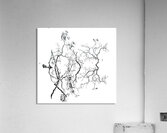 Kaloya Reflectons Acrylic Print