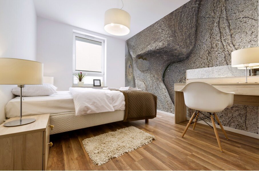 Rockbone Mural print
