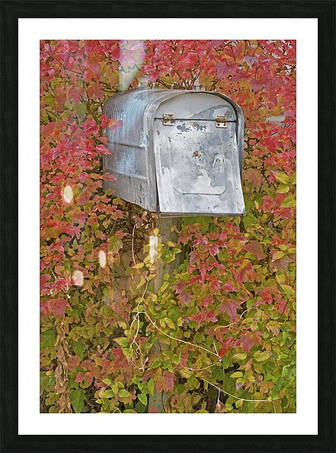 Youve Got Mail Picture Frame print