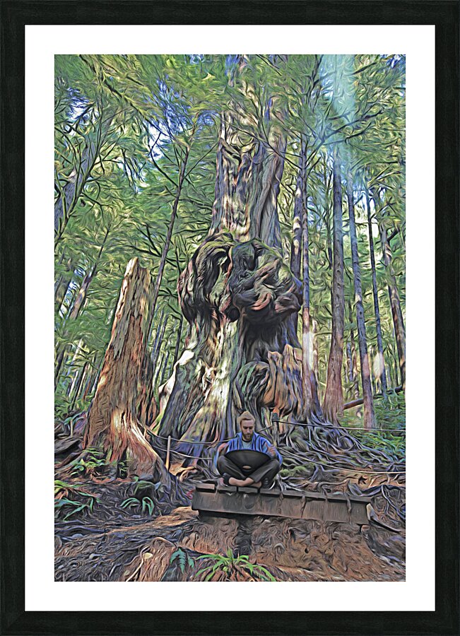 Mystic Minstrel Picture Frame print