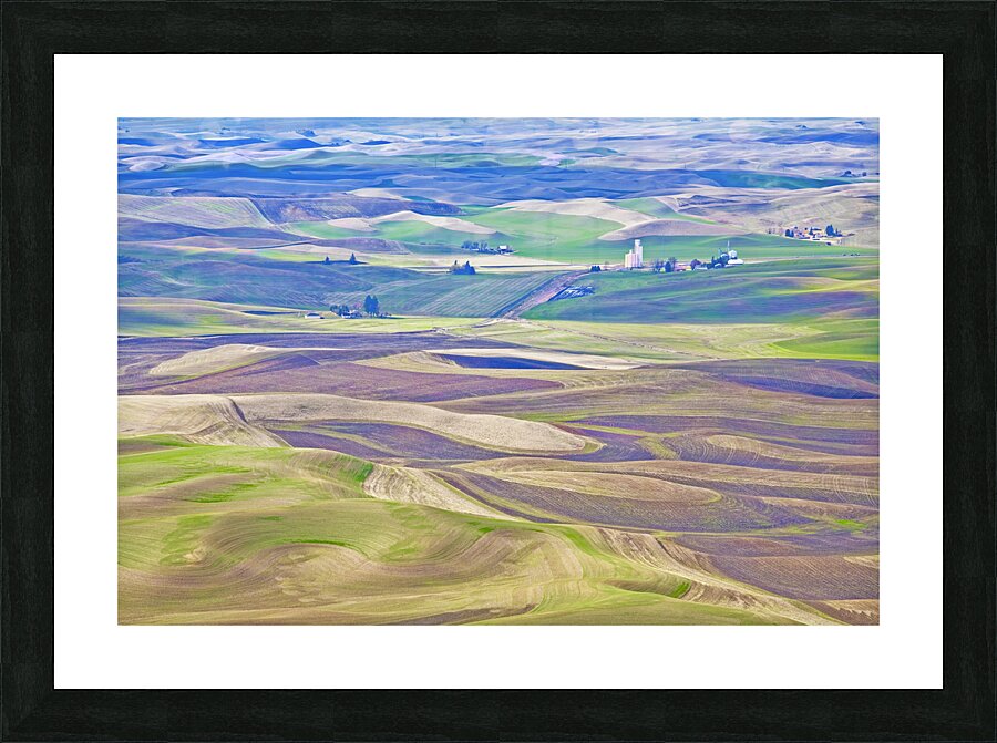 Palouse Picture Frame print