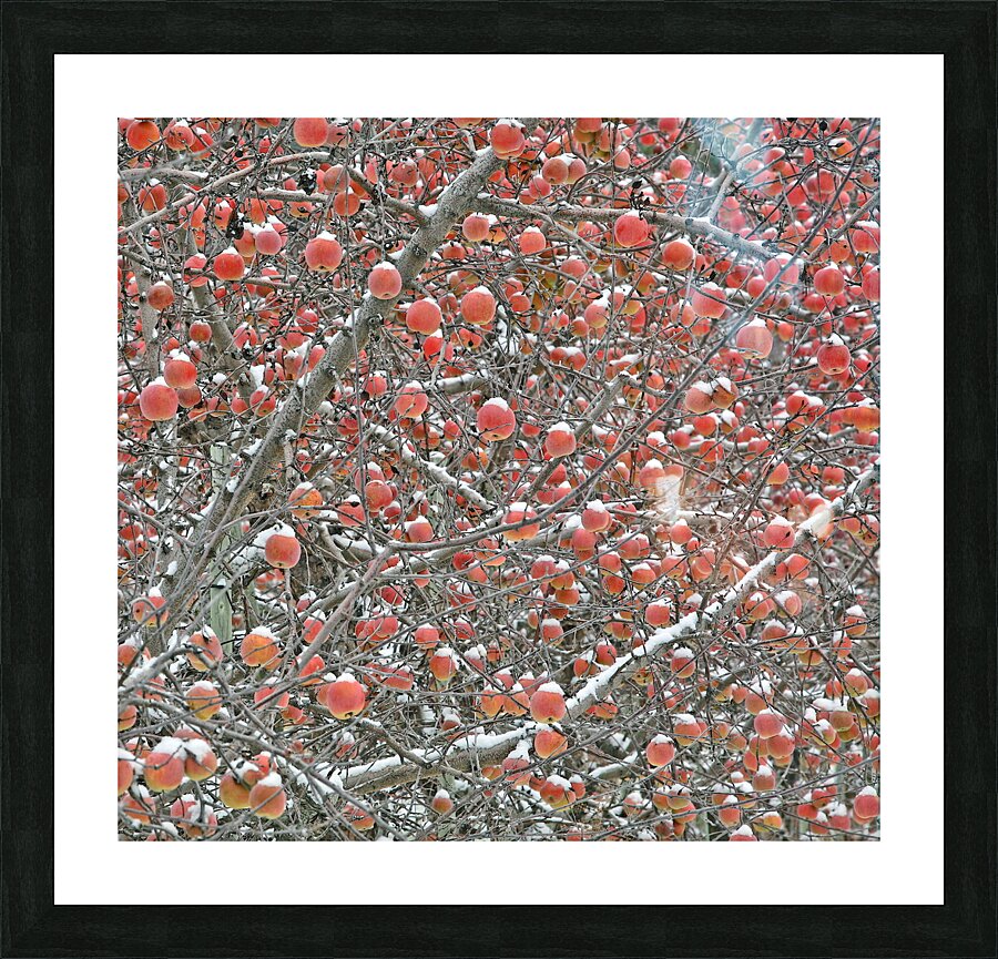 Apple Hats Picture Frame print