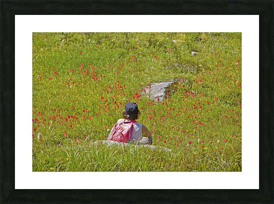 Alpine Hiker Picture Frame print