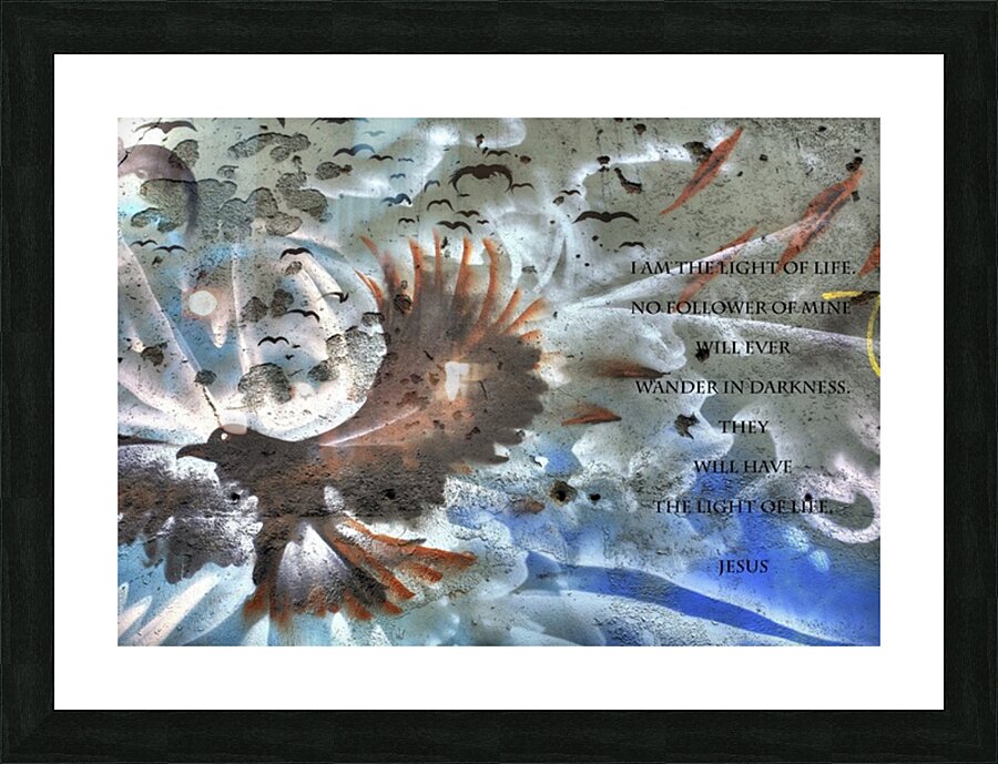 Encounter Picture Frame print