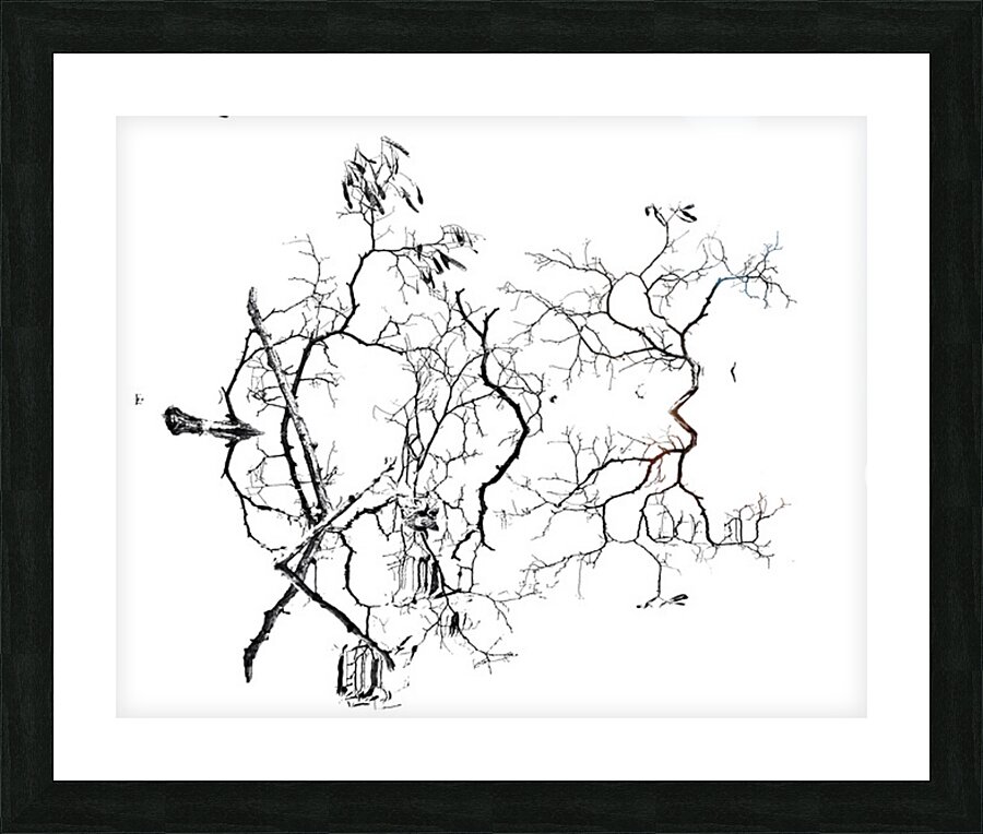 Kaloya Reflectons Picture Frame print
