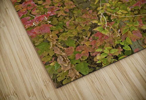 Youve Got Mail Darrel Giesbrecht Photography and Fine Art puzzle