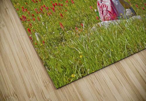 Alpine Hiker Darrel Giesbrecht Photography and Fine Art puzzle