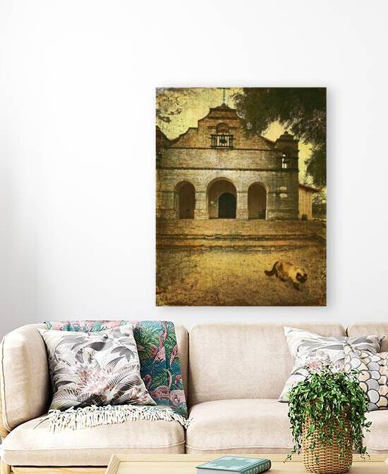 The Missions Cat Reproduction