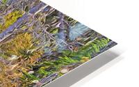 Murtle Lake Autumn HD Metal print