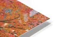 Autumn Maples HD Metal print