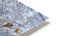 Driftwood Abstract HD Metal print