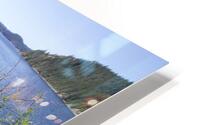  Teakerne Arm HD Metal print