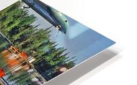 Turbo Beaver C-FOEF HD Metal print